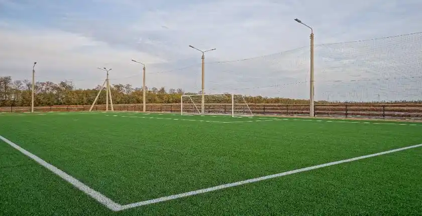 artificial grass maintenance