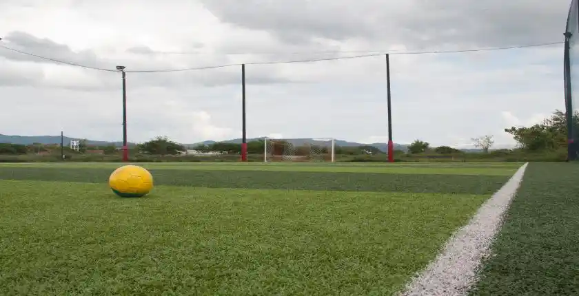 synthetic pitch maintenance